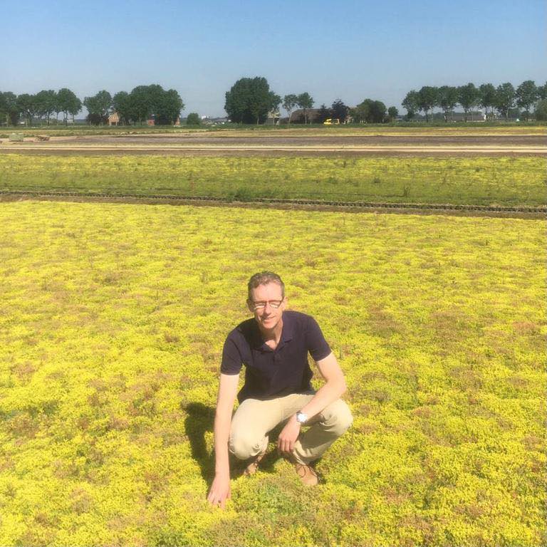 Arno van der Laar EkoGarden op een veld van sedum