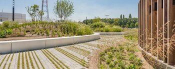 Groen en bestrating combineren