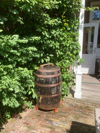 Duurzame houten regenton kopen voor jouw tuin