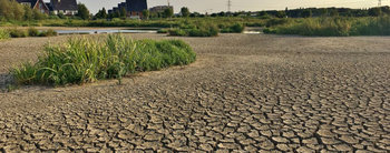 Hoe houd ik mijn tuin groen tijdens warme dagen?